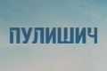 Пулишич
