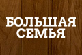 Большая семья