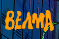 Велма