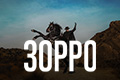Зорро (Франция)